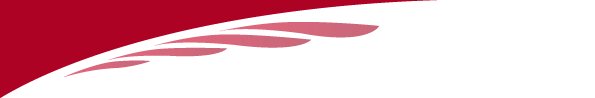 C:\Users\viviann\Desktop\images\word_01.png